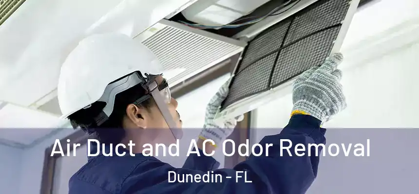 Air Duct and AC Odor Removal Dunedin - FL
