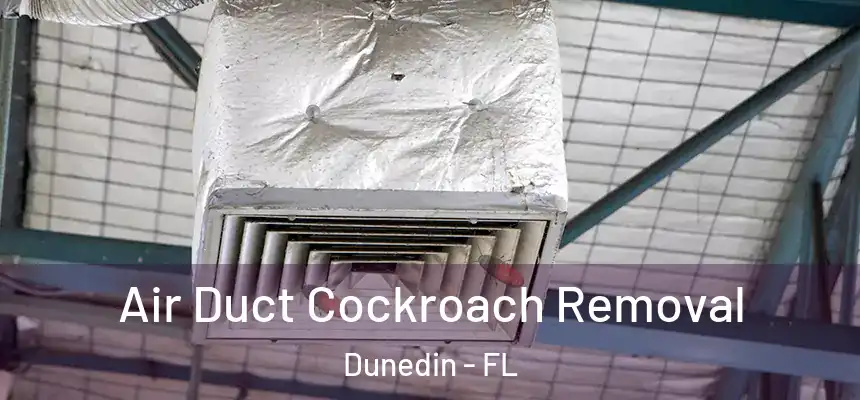 Air Duct Cockroach Removal Dunedin - FL