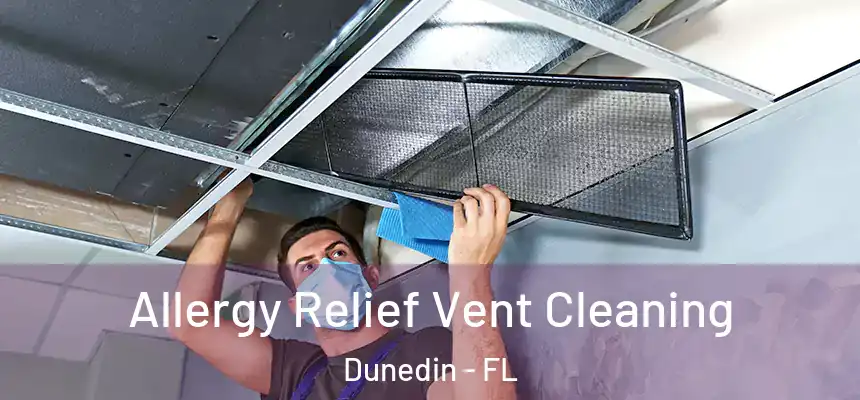 Allergy Relief Vent Cleaning Dunedin - FL