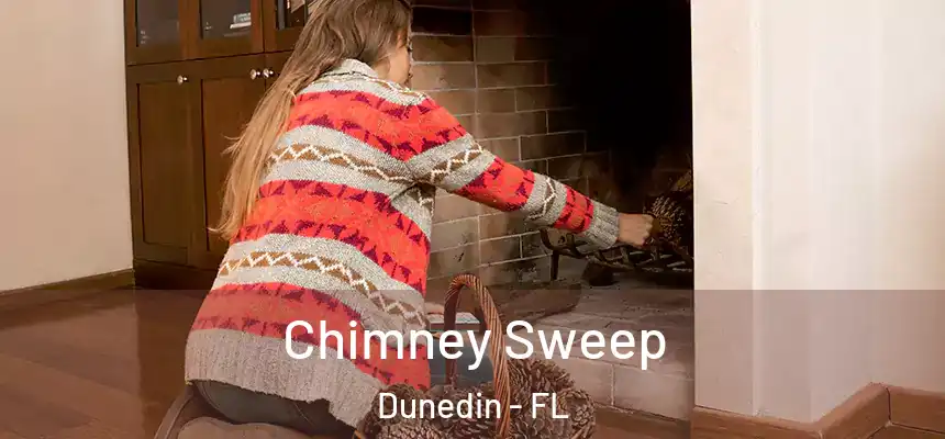 Chimney Sweep Dunedin - FL