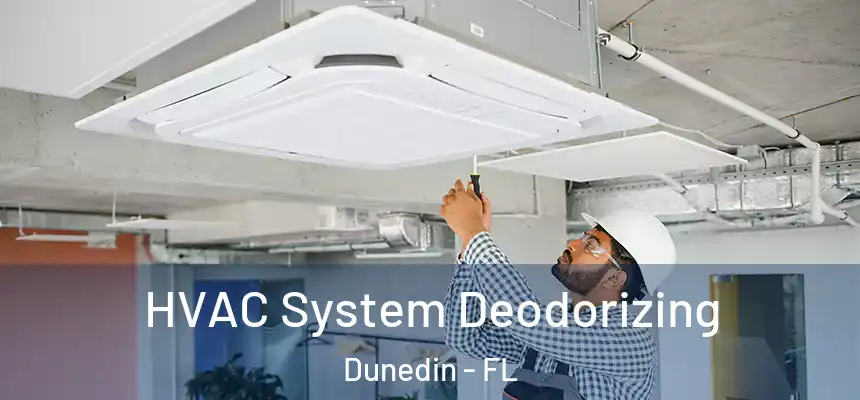 HVAC System Deodorizing Dunedin - FL