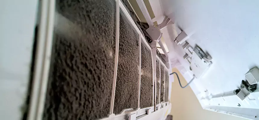 Preventive Air Duct Bacteria Removal in Dunedin