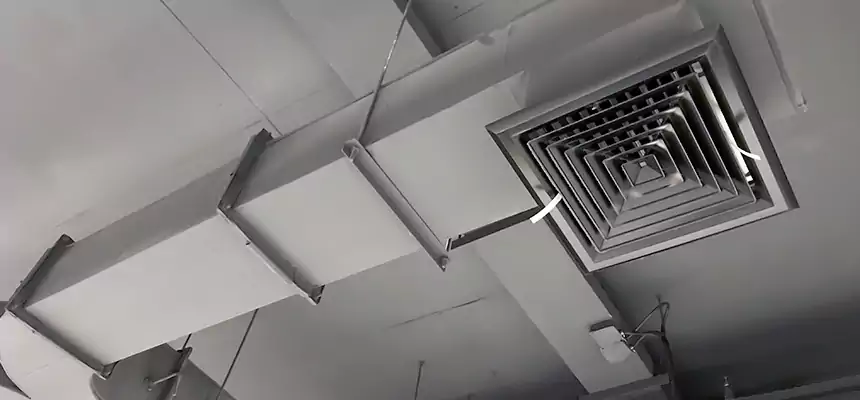 Restorative Allergy Relief Vent Cleaning – Coil, Blower & Housing Detail in Dunedin