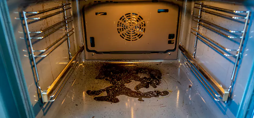 Our Dryer Vent Mold Cleaning Services in Dunedin, FL