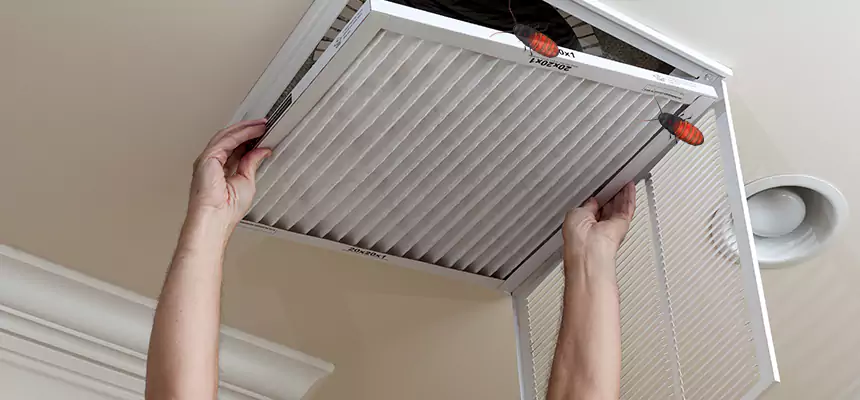 Our Insect Removal from Air Ducts Services in Dunedin, FL