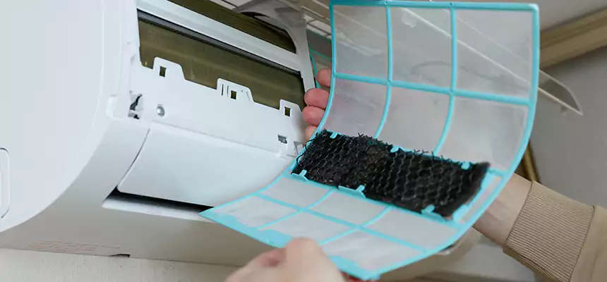 Gentle Ductwork Odor-Control Pet Dander Duct Cleaning in Dunedin, FL