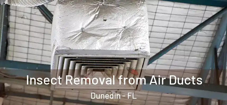 Insect Removal from Air Ducts Dunedin - FL