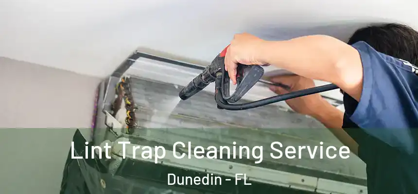 Lint Trap Cleaning Service Dunedin - FL