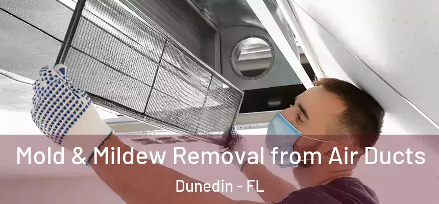 Mold & Mildew Removal from Air Ducts Dunedin - FL