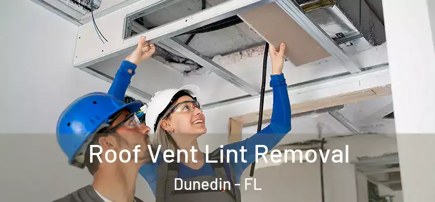 Roof Vent Lint Removal Dunedin - FL