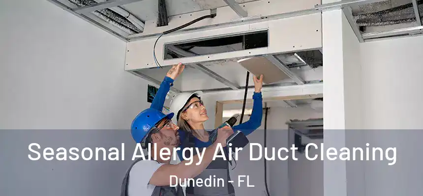 Seasonal Allergy Air Duct Cleaning Dunedin - FL