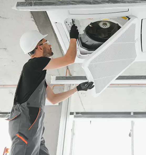 About Air Duct Rodent Removal in Dunedin, FL