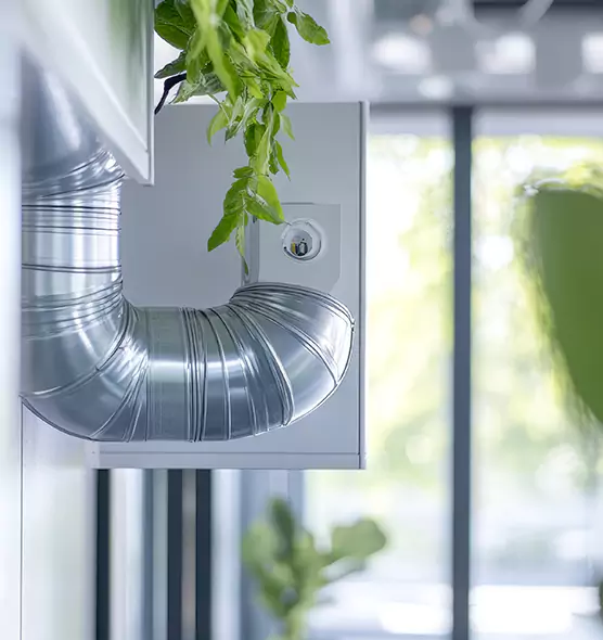 Professional Eco-Friendly Duct Cleaning Services in Dunedin, FL