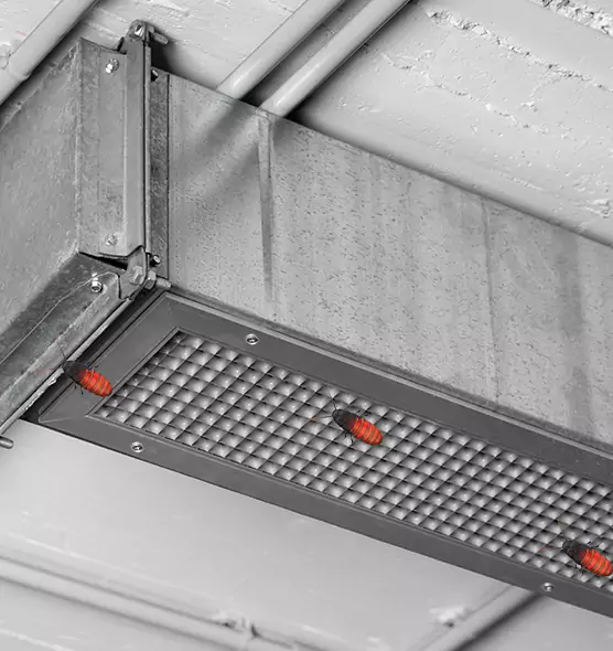 Affordable Insect Removal from Air Ducts in Dunedin, FL