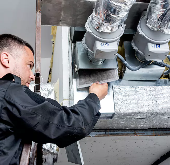 Why Homeowners & Businesses Trust Us in Dunedin, FL?