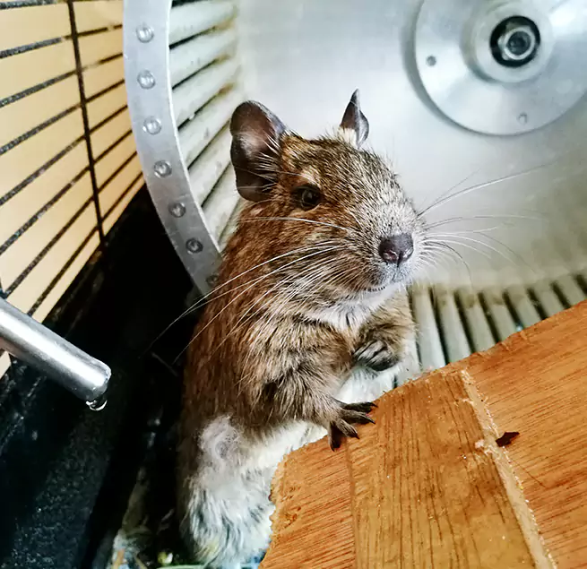 Why Homeowners & Businesses Trust Us Dunedin, FL