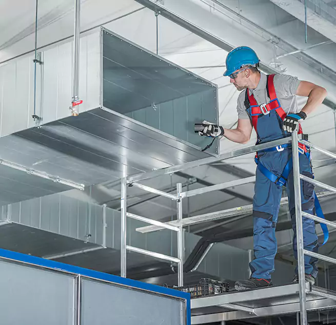 Why Homeowners & Businesses Trust Us in Dunedin, FL?