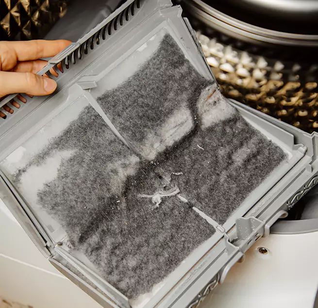 Why Homeowners & Businesses Trust Us Dunedin, FL?