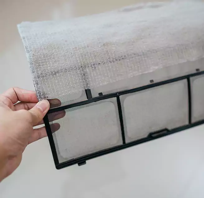 Why Homeowners & Businesses Trust Us in Dunedin, FL?