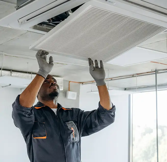 Why Homeowners & Businesses Trust Us in Dunedin, FL?