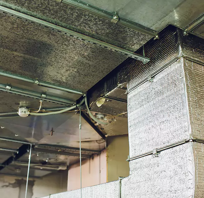 Why Homeowners & Businesses Trust Us in Dunedin, FL?