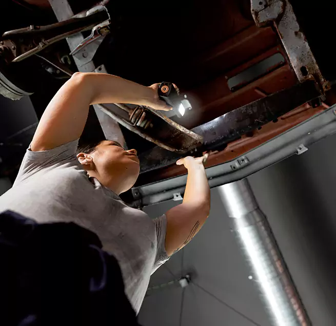 Why Homeowners & Businesses Trust Us Dunedin, FL