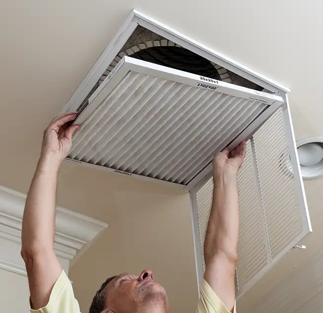 Why Homeowners & Businesses Trust Us in Dunedin, FL?