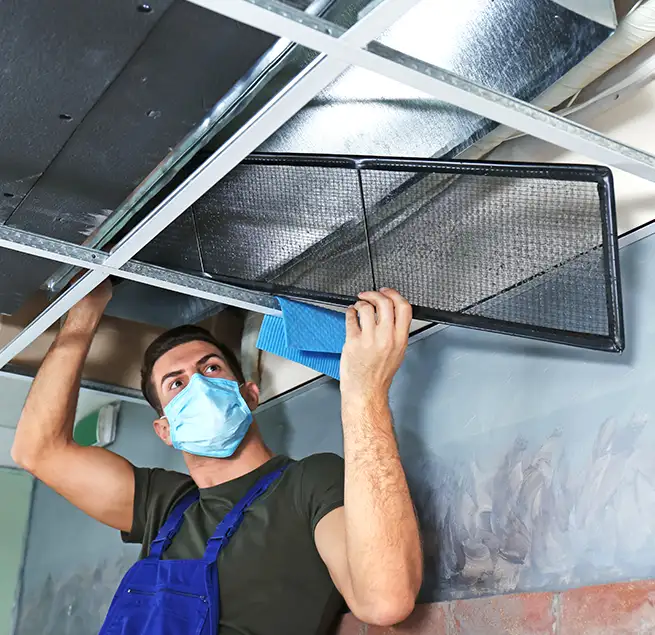 Why Homeowners & Businesses Trust Us in Dunedin, FL?