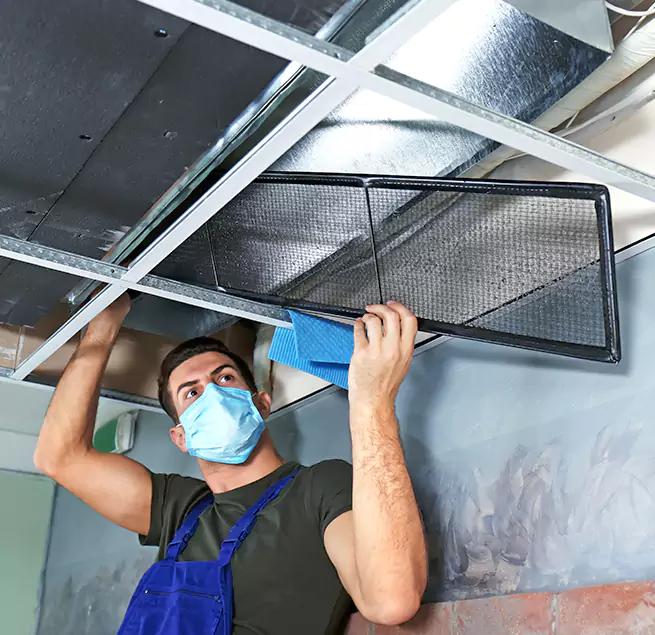 Why Homeowners Businesses Trust Us in Dunedin, FL?